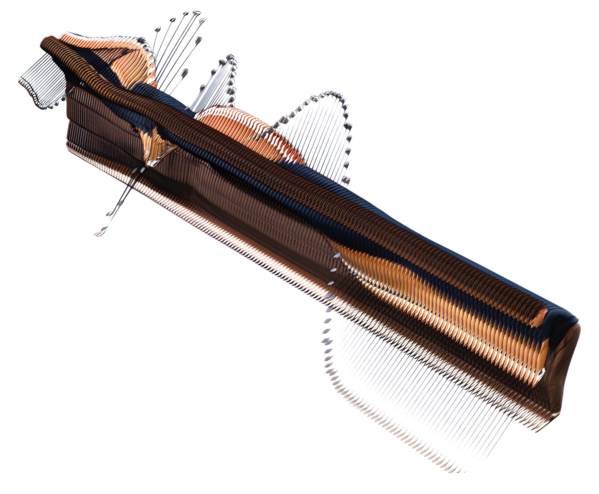 MoFrames visualization of a golf swing by Martin Hilpoltsteiner: the motion is dissected and restructured into visual layers, uncovering rhythmic loops, directional flow, and the spatial complexity of the athlete’s movement.